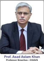 Asad Aslam