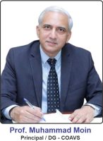 Muhammad Moin
